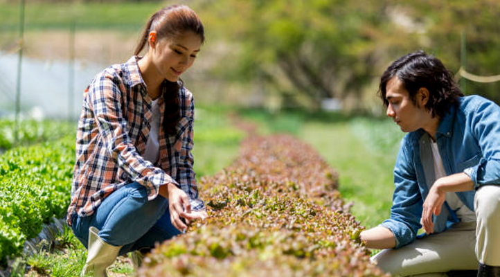 Découvrez métier Ingénieur Agronome