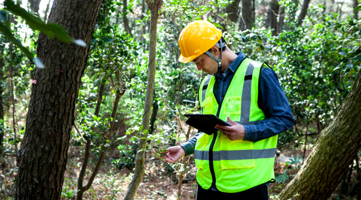 Découverte métier technicien forestier