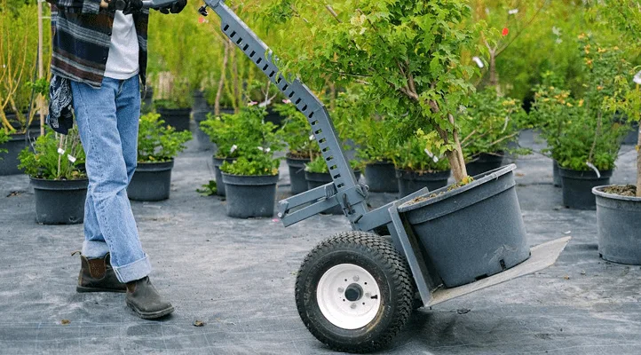 Fiche métier paysagiste jardinier