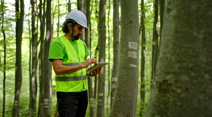 Le métier de technicien forestier